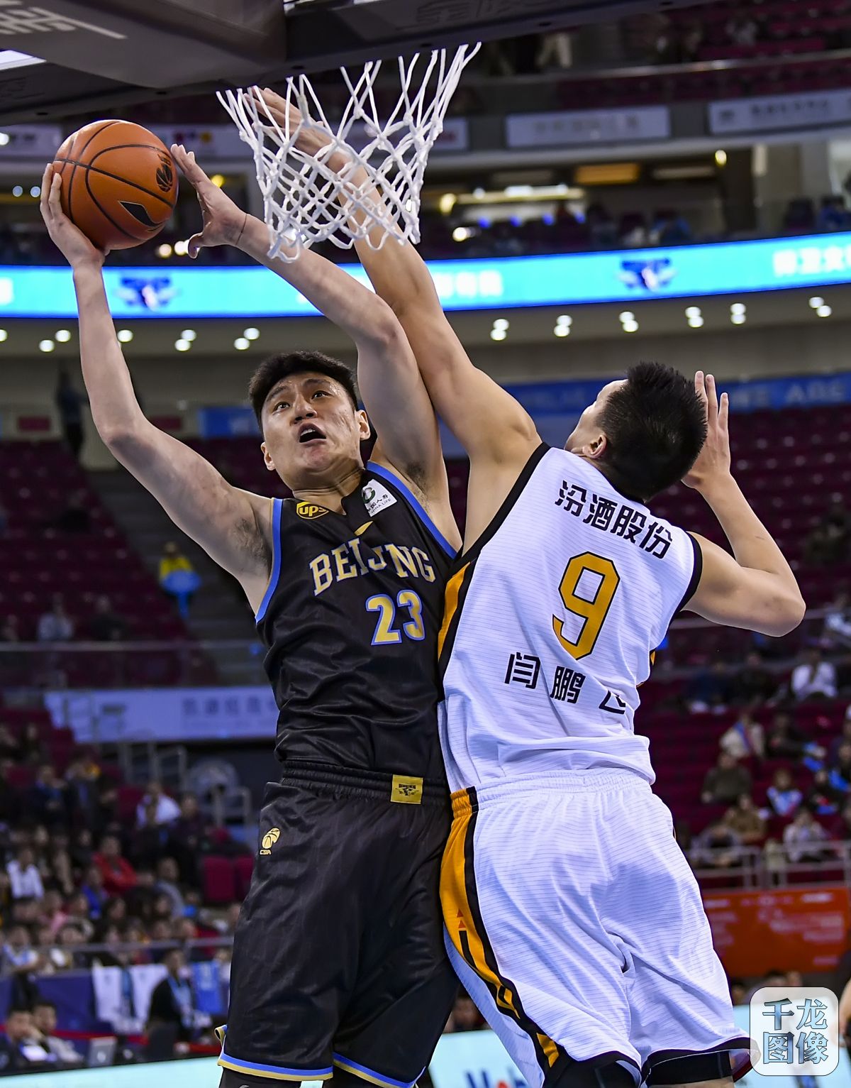 专门的咨询 专门的咨询