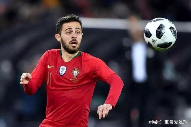 在支持维度 在支持维度