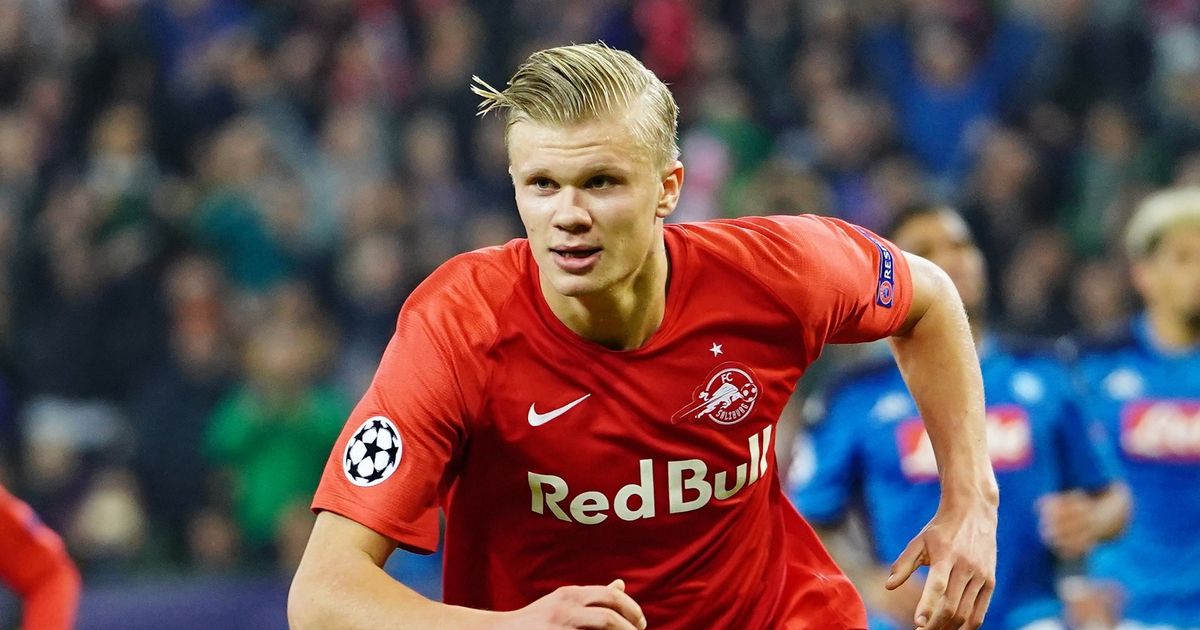 的关键拼图 的关键拼图